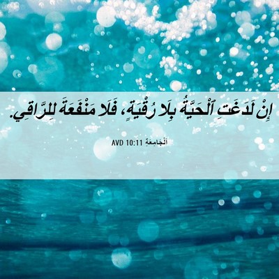 Picture 06 - اَلْجَامِعَةِ 10:11 AVD - إِنْ لَدَغَتِ ٱلْحَيَّةُ - Bible Verse Picture
