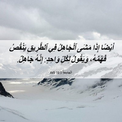 Picture 06 - اَلْجَامِعَةِ 10:3 AVD - أَيْضًا إِذَا مَشَى - Bible Verse Picture