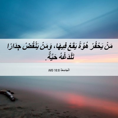 Picture 06 - اَلْجَامِعَةِ 10:8 AVD - مَنْ يَحْفُرْ هُوَّةً - Bible Verse Picture