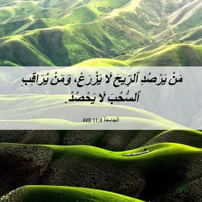 Picture 06 - اَلْجَامِعَةِ 11:4 AVD - مَنْ يَرْصُدِ ٱلرِّيحَ لَا - Bible Verse Picture