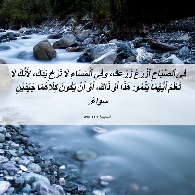 Picture 06 - اَلْجَامِعَةِ 11:6 AVD - فِي ٱلصَّبَاحِ ٱزْرَعْ - Bible Verse Picture