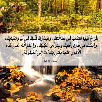 Picture 06 - اَلْجَامِعَةِ 11:9 AVD - اِفْرَحْ أَيُّهَا - Bible Verse Picture