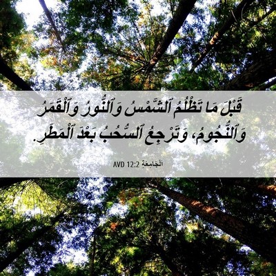 Picture 06 - اَلْجَامِعَةِ 12:2 AVD - قَبْلَ مَا تَظْلُمُ - Bible Verse Picture