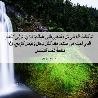 Picture 06 - اَلْجَامِعَةِ 2:11 AVD - ثُمَّ ٱلْتَفَتُّ أَنَا - Bible Verse Picture