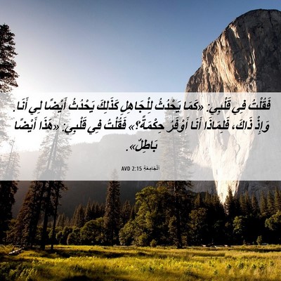 Picture 06 - اَلْجَامِعَةِ 2:15 AVD - فَقُلْتُ فِي قَلْبِي: - Bible Verse Picture