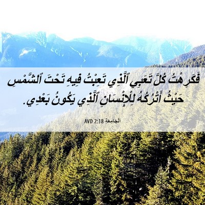 Picture 06 - اَلْجَامِعَةِ 2:18 AVD - فَكَرِهْتُ كُلَّ تَعَبِي - Bible Verse Picture