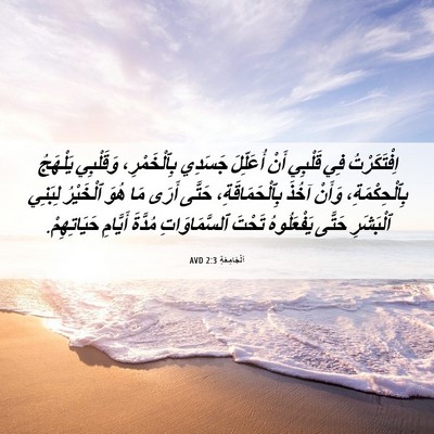 Picture 06 - اَلْجَامِعَةِ 2:3 AVD - اِفْتَكَرْتُ فِي قَلْبِي - Bible Verse Picture