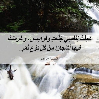 Picture 06 - اَلْجَامِعَةِ 2:5 AVD - عَمِلْتُ لِنَفْسِي - Bible Verse Picture