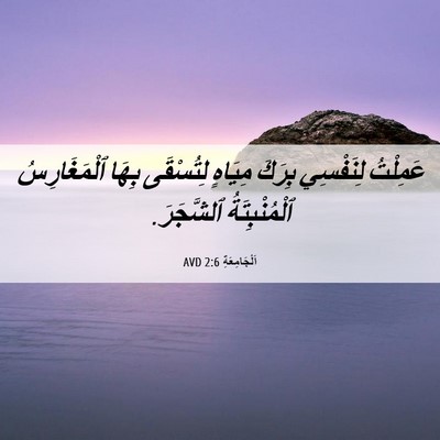 Picture 06 - اَلْجَامِعَةِ 2:6 AVD - عَمِلْتُ لِنَفْسِي بِرَكَ - Bible Verse Picture