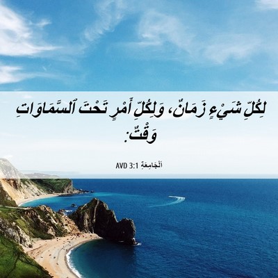 Picture 06 - اَلْجَامِعَةِ 3:1 AVD - لِكُلِّ شَيْءٍ زَمَانٌ، - Bible Verse Picture