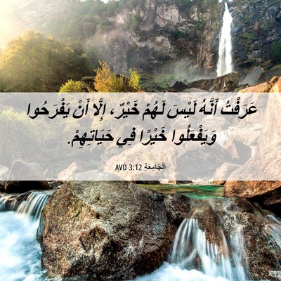 Picture 06 - اَلْجَامِعَةِ 3:12 AVD - عَرَفْتُ أَنَّهُ لَيْسَ - Bible Verse Picture