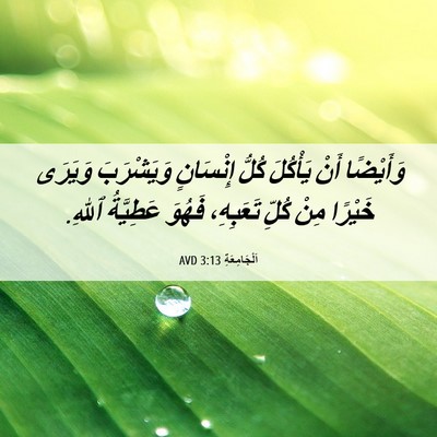 Picture 06 - اَلْجَامِعَةِ 3:13 AVD - وَأَيْضًا أَنْ يَأْكُلَ - Bible Verse Picture