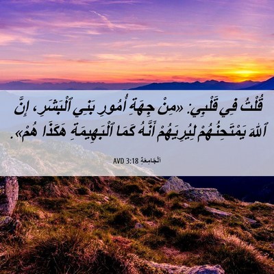 Picture 06 - اَلْجَامِعَةِ 3:18 AVD - قُلْتُ فِي قَلْبِي: «مِنْ - Bible Verse Picture
