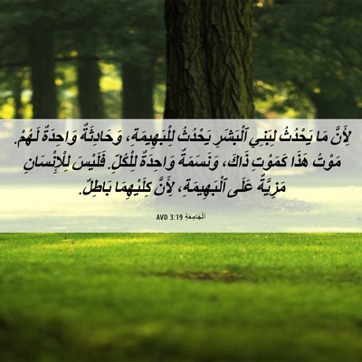 Picture 06 - اَلْجَامِعَةِ 3:19 AVD - لِأَنَّ مَا يَحْدُثُ - Bible Verse Picture