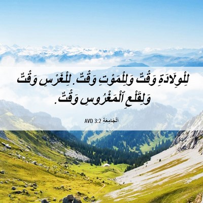 Picture 06 - اَلْجَامِعَةِ 3:2 AVD - لِلْوِلَادَةِ وَقْتٌ - Bible Verse Picture