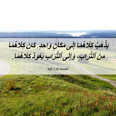 Picture 06 - اَلْجَامِعَةِ 3:20 AVD - يَذْهَبُ كِلَاهُمَا إِلَى - Bible Verse Picture