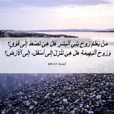 Picture 06 - اَلْجَامِعَةِ 3:21 AVD - مَنْ يَعْلَمُ رُوحَ بَنِي - Bible Verse Picture