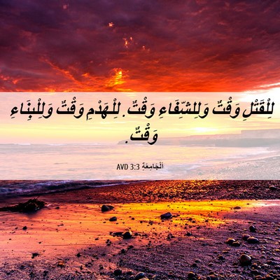 Picture 06 - اَلْجَامِعَةِ 3:3 AVD - لِلْقَتْلِ وَقْتٌ - Bible Verse Picture