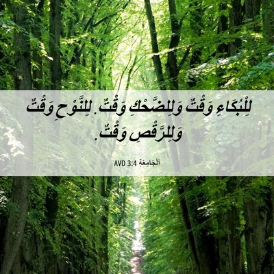 Picture 06 - اَلْجَامِعَةِ 3:4 AVD - لِلْبُكَاءِ وَقْتٌ - Bible Verse Picture