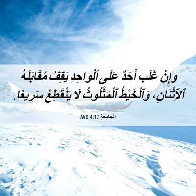 Picture 06 - اَلْجَامِعَةِ 4:12 AVD - وَإِنْ غَلَبَ أَحَدٌ عَلَى - Bible Verse Picture