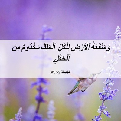 Picture 06 - اَلْجَامِعَةِ 5:9 AVD - وَمَنْفَعَةُ ٱلْأَرْضِ - Bible Verse Picture