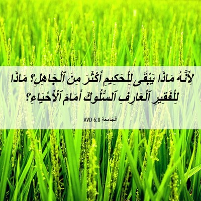 Picture 06 - اَلْجَامِعَةِ 6:8 AVD - لِأَنَّهُ مَاذَا يَبْقَى - Bible Verse Picture