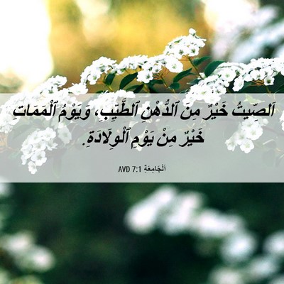 Picture 06 - اَلْجَامِعَةِ 7:1 AVD - اَلصِّيتُ خَيْرٌ مِنَ - Bible Verse Picture
