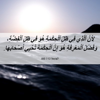 Picture 06 - اَلْجَامِعَةِ 7:12 AVD - لِأَنَّ ٱلَّذِي فِي ظِلِّ - Bible Verse Picture