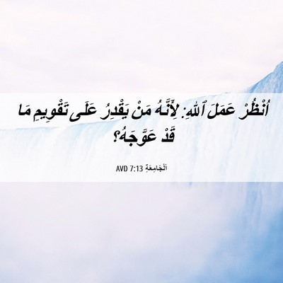 Picture 06 - اَلْجَامِعَةِ 7:13 AVD - اُنْظُرْ عَمَلَ ٱللهِ: - Bible Verse Picture