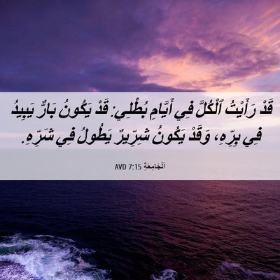 Picture 06 - اَلْجَامِعَةِ 7:15 AVD - قَدْ رَأَيْتُ ٱلْكُلَّ فِي - Bible Verse Picture