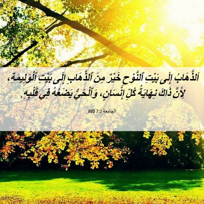 Picture 06 - اَلْجَامِعَةِ 7:2 AVD - اَلذَّهَابُ إِلَى بَيْتِ - Bible Verse Picture