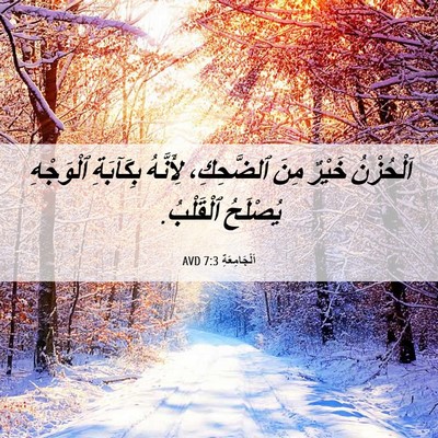 Picture 06 - اَلْجَامِعَةِ 7:3 AVD - اَلْحُزْنُ خَيْرٌ مِنَ - Bible Verse Picture