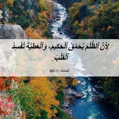 Picture 06 - اَلْجَامِعَةِ 7:7 AVD - لِأَنَّ ٱلظُّلْمَ - Bible Verse Picture