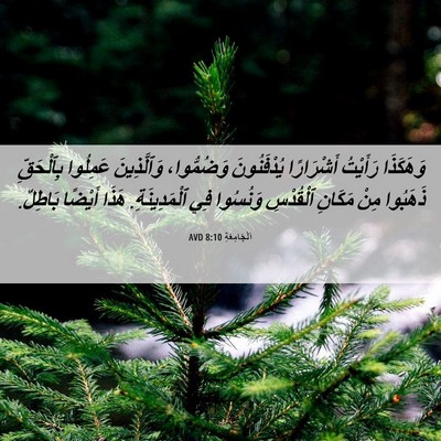 Picture 06 - اَلْجَامِعَةِ 8:10 AVD - وَهَكَذَا رَأَيْتُ - Bible Verse Picture