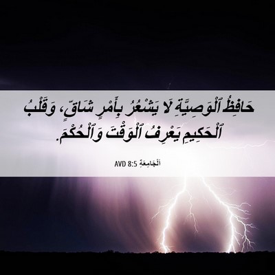 Picture 06 - اَلْجَامِعَةِ 8:5 AVD - حَافِظُ ٱلْوَصِيَّةِ لَا - Bible Verse Picture