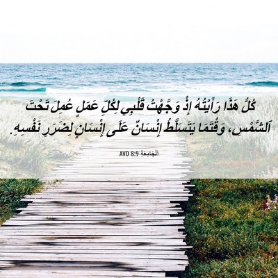 Picture 06 - اَلْجَامِعَةِ 8:9 AVD - كُلُّ هَذَا رَأَيْتُهُ - Bible Verse Picture