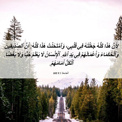 Picture 06 - اَلْجَامِعَةِ 9:1 AVD - لِأَنَّ هَذَا كُلَّهُ - Bible Verse Picture
