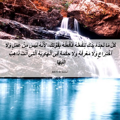 Picture 06 - اَلْجَامِعَةِ 9:10 AVD - كُلُّ مَا تَجِدُهُ يَدُكَ - Bible Verse Picture