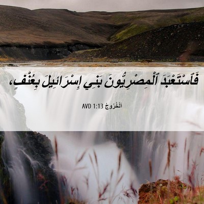 Picture 06 - اَلْخُرُوجُ 1:13 AVD - فَٱسْتَعْبَدَ - Bible Verse Picture