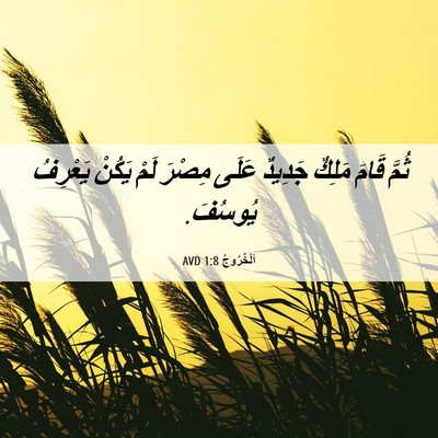 Picture 06 - اَلْخُرُوجُ 1:8 AVD - ثُمَّ قَامَ مَلِكٌ جَدِيدٌ - Bible Verse Picture
