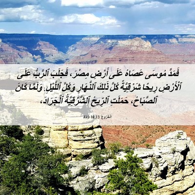 Picture 06 - اَلْخُرُوجُ 10:13 AVD - فَمَدَّ مُوسَى عَصَاهُ - Bible Verse Picture