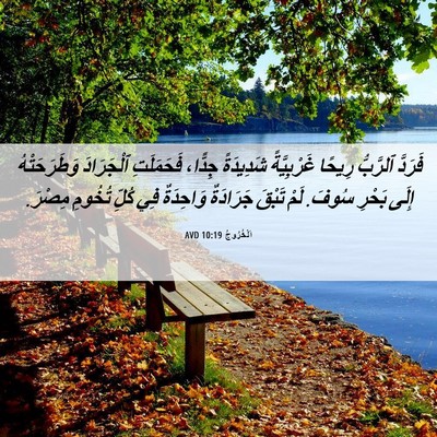 Picture 06 - اَلْخُرُوجُ 10:19 AVD - فَرَدَّ ٱلرَّبُّ رِيحًا - Bible Verse Picture