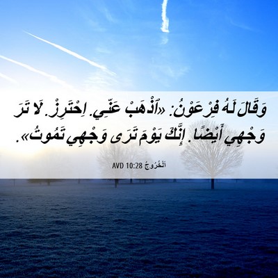 Picture 06 - اَلْخُرُوجُ 10:28 AVD - وَقَالَ لَهُ فِرْعَوْنُ: - Bible Verse Picture