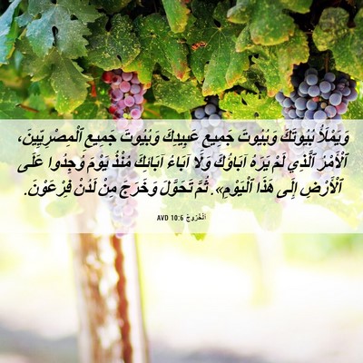 Picture 06 - اَلْخُرُوجُ 10:6 AVD - وَيَمْلَأُ بُيُوتَكَ - Bible Verse Picture