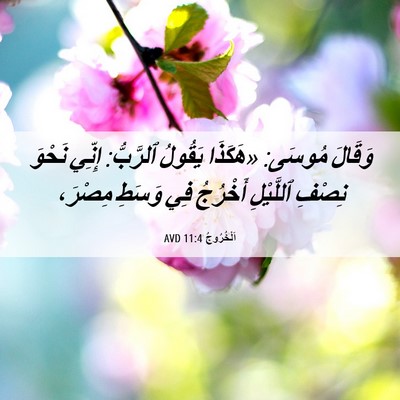 Picture 06 - اَلْخُرُوجُ 11:4 AVD - وَقَالَ مُوسَى: «هَكَذَا - Bible Verse Picture