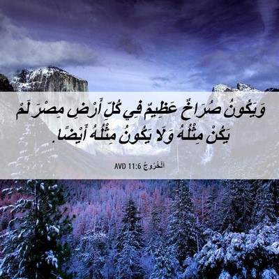 Picture 06 - اَلْخُرُوجُ 11:6 AVD - وَيَكُونُ صُرَاخٌ عَظِيمٌ - Bible Verse Picture
