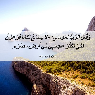 Picture 06 - اَلْخُرُوجُ 11:9 AVD - وَقَالَ ٱلرَّبُّ لِمُوسَى: - Bible Verse Picture