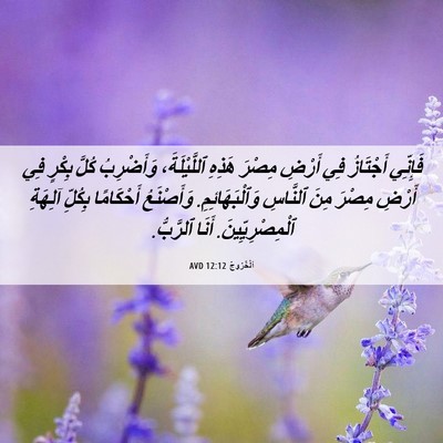Picture 06 - اَلْخُرُوجُ 12:12 AVD - فَإِنِّي أَجْتَازُ فِي - Bible Verse Picture