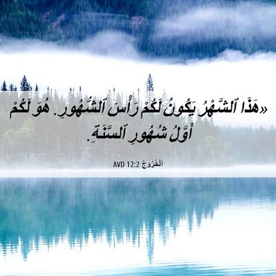 Picture 06 - اَلْخُرُوجُ 12:2 AVD - «هَذَا ٱلشَّهْرُ يَكُونُ - Bible Verse Picture