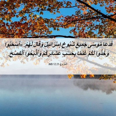 Picture 06 - اَلْخُرُوجُ 12:21 AVD - فَدَعَا مُوسَى جَمِيعَ - Bible Verse Picture